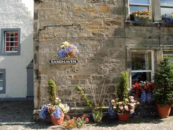 Floral display Culross